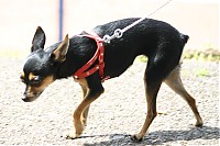 Dateiname=2007_05_26__14_10_09.jpg
Dateigröße=177KB
Abmessungen: 1024x682
hinzugefügt am: 03. Juni 2007 2007_05_26__14_10_09.jpg