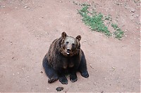 Dateiname=2008_06_28__16_48_08.jpg
Dateigröße=224KB
Abmessungen: 1024x682
hinzugefügt am: 18. Februar 2009 2008_06_28__16_48_08.jpg