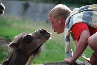 Dateiname=2008_06_28__17_43_23.jpg
Dateigröße=155KB
Abmessungen: 1024x682
hinzugefügt am: 18. Februar 2009 2008_06_28__17_43_23.jpg