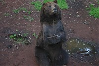 Dateiname=IMG_7269.jpg
Dateigröße=104KB
Abmessungen: 1024x682
hinzugefügt am: 05. Juni 2009 IMG_7269.jpg