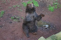 Dateiname=IMG_7270.jpg
Dateigröße=123KB
Abmessungen: 1024x682
hinzugefügt am: 05. Juni 2009 IMG_7270.jpg