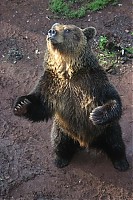 Dateiname=IMG_7278.jpg
Dateigröße=142KB
Abmessungen: 682x1024
hinzugefügt am: 05. Juni 2009 IMG_7278.jpg