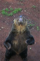 Dateiname=IMG_7284.jpg
Dateigröße=118KB
Abmessungen: 682x1024
hinzugefügt am: 05. Juni 2009 IMG_7284.jpg