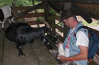 Dateiname=2011_06_11__14_26_43.JPG
Dateigröße=503KB
Abmessungen: 1024x683
hinzugefügt am: 18. Juni 2011 2011_06_11__14_26_43.JPG