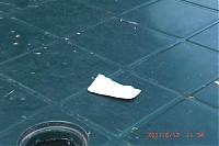 Dateiname=2011_06_12__11_34_14.JPG
Dateigröße=454KB
Abmessungen: 1024x683
hinzugefügt am: 18. Juni 2011 2011_06_12__11_34_14.JPG